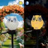 YZYOE Solar Powered White Blue Eyed owl Lights, Garden Decorative