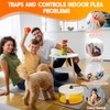 Flea Traps for Home Indoor, 2 Pack Flea Killer with