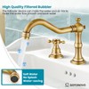 gotonovo Bathroom Faucet 3 Hole 8 Inch Widespread Bathroom Sink
