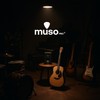 Muso Pro Guitar Picks Holder with 15 Picks, Plectrum for