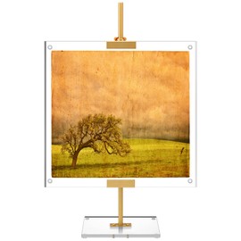 RattanView Gold Adjustable Metal Easel Stand with Acrylic Floating Photo Frame 16.5" Tabletop Metal Standing Easel Display Stand for Display Picture, Frame, Photos, Art, Poster, Signs