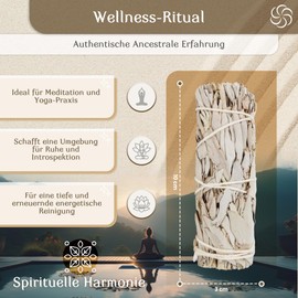 Copalosanto - White Sage Pack of 6 | Sage Incense Set | Incense Sticks & Incense Cones | Spiritual Cleansing & Meditation | Harmonious Living Spaces, White, Sage