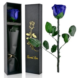 PLECUPE Eternal Rose with Stem, Real Infinity Rose in Box, Red Roses Gift Box Women, Durable Preserved Rose in Rose Box, Gift for Mother, Girlfriend, Valentine's Day, Mother's Day, Blue
