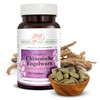 Chinese Angelica Tablets - 500 mg Active Ingredient, Angelica Sinensis