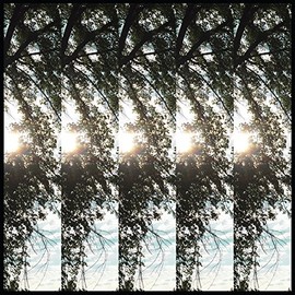 Dialectic of Ignorance