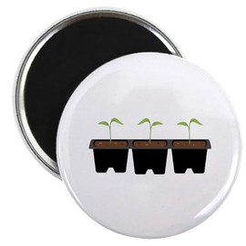 CafePress Plant Seedlings Magnets 2.25" Round Button Magnet (10 pack)