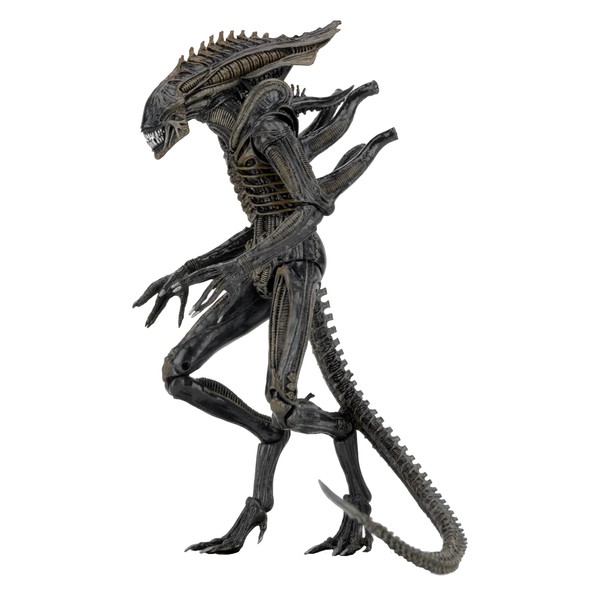 NECA Aliens - 7" scale action figure series 11 -