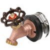 Fernco 2 x 3/4 Jim Cap with Hose Bibb Connection