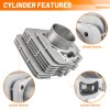 TWOM Top End Rebuild Kit Cylinder Piston for 2005-2011 Honda