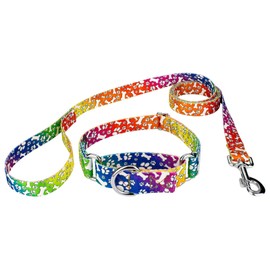 Country Brook Petz - Trippy Doggo Martingale Dog Collar & Leash - Medium