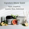 Marriott Hotels - Attune Scent Sticks - Set of 5