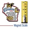 Wisconsin Information State Magnet by Classic Magnets, 2.5" x 2.7",