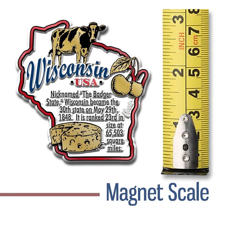Wisconsin Information State Magnet by Classic Magnets, 2.5" x 2.7",