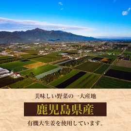 オーガニック 有機 大しょうが パウダー 20g x 3P 鹿児島県産 生姜 粉末 国産 しぜんのおかショップ