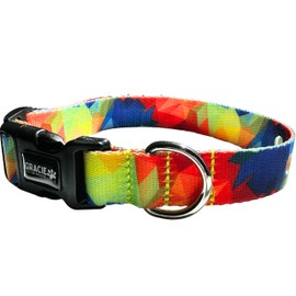 ECollar Replacement Strap, Pet Safe Collars Replacement, Shock Collar Replacement Collar, Invisible Fence Collar Replacement, Compatible with Pet Safe, Invisible Fence (Prism, 3/4")