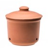 Romertopf Garlic Storage Pot