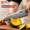 WEERLTEM Japanese Damascus Santoku Chef Knife 7''（Mirror finish blade）, 67-Layer