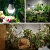 Hanging Grow Light 5000K, Briignite 3 Grow Light Bulbs with