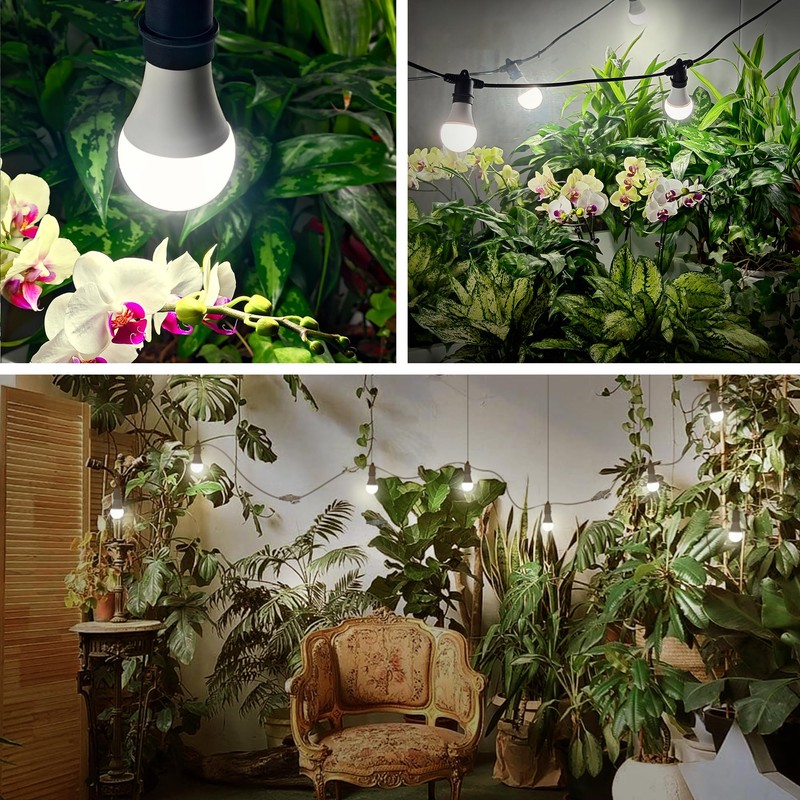 Hanging Grow Light 5000K, Briignite 3 Grow Light Bulbs with