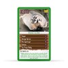 North American Wildlife Top Trumps Card Game
