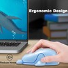 Samudgate Wireless Mouse, Cute Dolphin Shape Computer Mouse 2.4 GHz