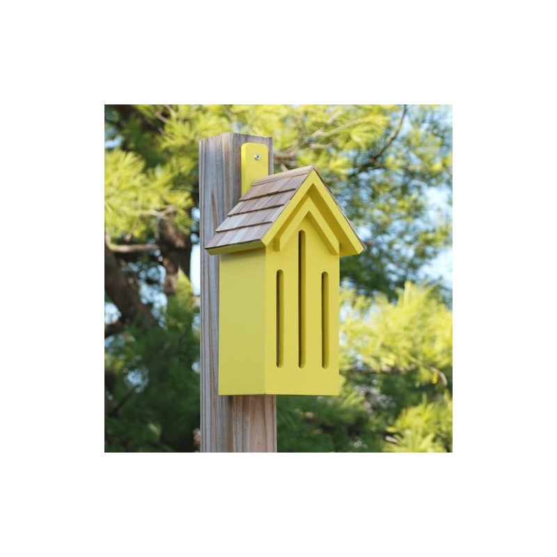 Yellow Classic Butterfly House