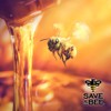 Glorybee, Premium Honey Syrup, Real Honey, No Artifical colors or