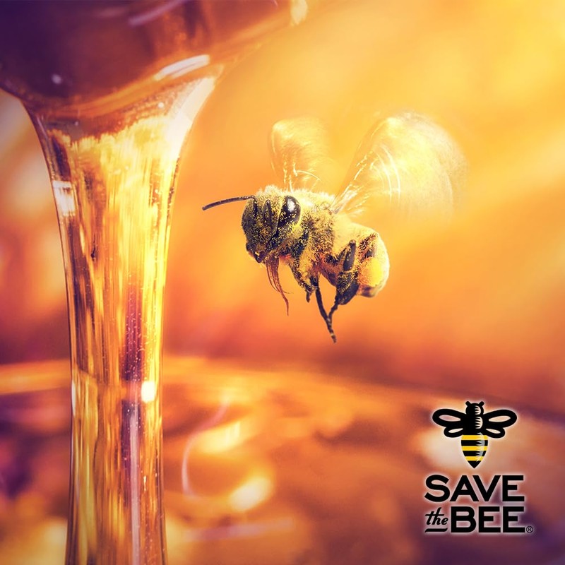 Glorybee, Premium Honey Syrup, Real Honey, No Artifical colors or