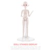 Totority 30 Pcs Doll Standing Stand Bracket Model Stand Accessories