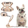 PUPTECK Dog Harness and Leash Set Small Sized, Step in
