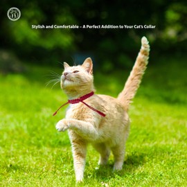 Handmade Red Macrame Cat Collar | Adjustable Eco-Friendly Feline Accessory | Protection Knot Design for Kittens and Adult Cats | Fits Neck Sizes 8-12 Inches | Durable, Stylish, and Lucky Pet Fashion