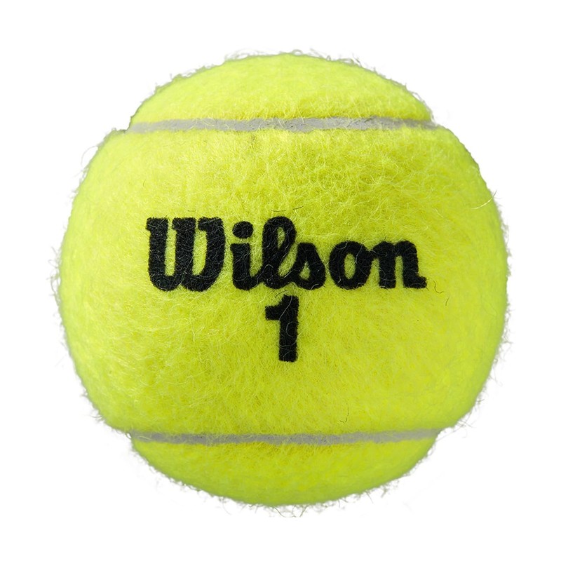 Wilson Unisex-Adult RG MINI RACKET Tennis racket Blue/Grey/Orange ONE SIZE