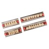Dental Synthetic Resin Denture Tooth Professional Men Women Shade A3
