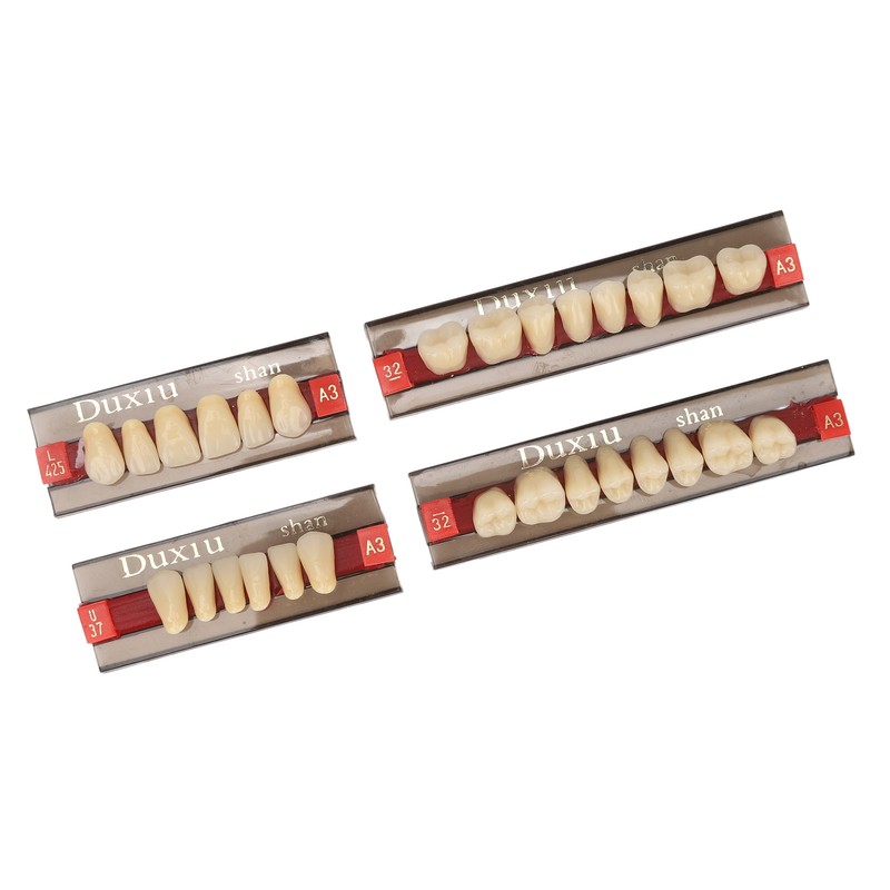 Dental Synthetic Resin Denture Tooth Professional Men Women Shade A3