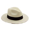Panama Hat DE