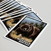 Lantern Press Missoula, Montana, Grizzly Bear, Scratchboard (52 Playing Cards,