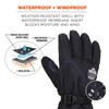 Ergodyne ProFlex 825WP Winter Work Gloves with Removeable Waterproof Shell