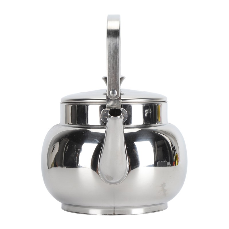 Stainless Steel Teapot with Removable Filter Metal Tea Kettle Coffee