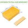 10 Count Compostable Thicker Pop-Up Sponges - Expanding, Non-Scratch, Plant-Based
