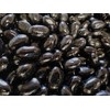 Jumbo Extra Large Fresh Chewy Black Licorice Jelly Beans -