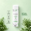 Shampoo Detox Profesional Anticaspa Natural con Menta Hombre y Mujer
