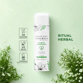 Shampoo Detox Profesional Anticaspa Natural con Menta Hombre y Mujer Limpieza Profunda Sin Sulfatos Control de Grasa Apto Cabello Graso 250 ml