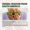 Verdeherb Astragalus Herbal Supplement, Unlock Your Health Potential with Our