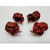 Chocolate Reaper Hot Pepper Seeds 10+ Seeds