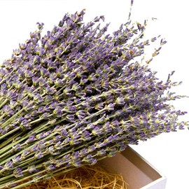 TooGet Natural Lavender Bundles, Freshly Harvested 200 Stems Dried Lavender Bunch 16" - 18" Long, Decorative Flowers Bouquet for Home Decor, Crafts, Gift, Wedding or Any Occasion