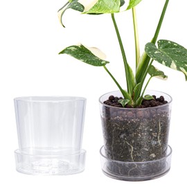 Phoenix Vine 6.5 InchClear Acrylic Planter Pot with Tray, Orchid Pot with Drainage Holes, Deep Saucer for Bottom Watering, Transparent Containers for Indoor Plants, Herbs, Set of 2, 91-A-F-2