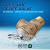 Midline Valve GUHW-QSW256 Pressure Relief Valve for Tankless Water Heater,