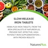 NaturesPlus Hema-Plex Iron - 30 Slow-Release Tablets - 85 mg