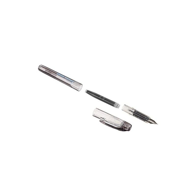 Platinum Pen Preppy Fountain Pen, 0.008 inch (0.2 mm)