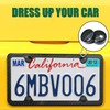 License Plate Screws -Carbon Fiber Pattern Printing, Plastic License Plate